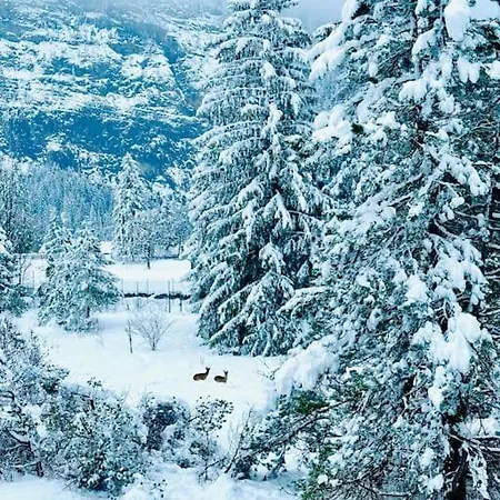 Amazing Modern&great Equipped Jacuzzi Appartamento *