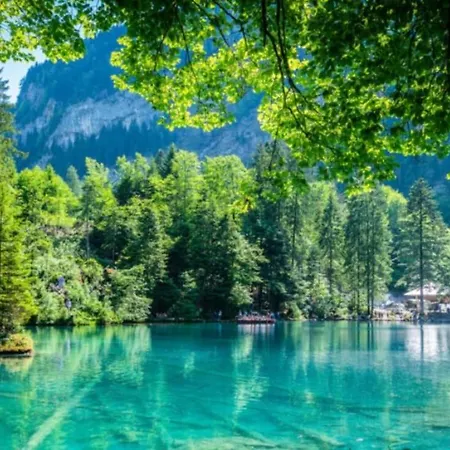 Amazing Modern & Great Equipped Jacuzzi