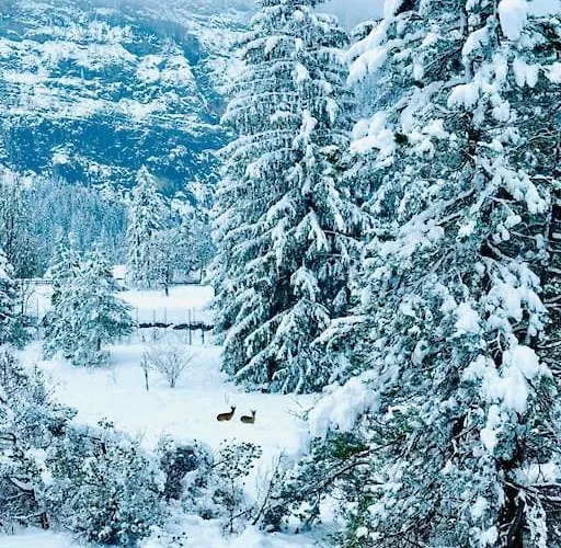 Amazing Modern & Great Equipped Jacuzzi Διαμέρισμα *